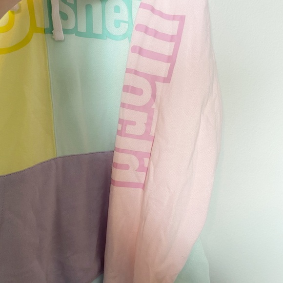 Walt Disney World Pastel Logo Colorblock Hoodie Sweatshirt Unisex Sz Medium - Picture 8 of 13